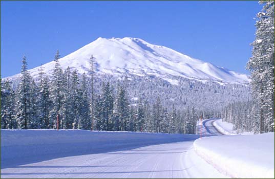 mtbachelor