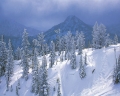 bluesanthonylakesskiresort
