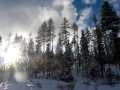 bluessnowtewsnet6
