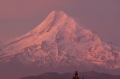 Mt Hood Alpenglow