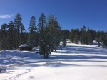 Grouse-Gap-Shelter