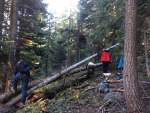 Grouse-Gap-trailwork